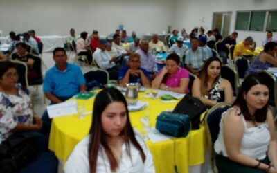 Galeria 2017